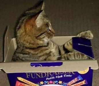 What is luck, anyway?